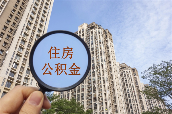 中国澳门辞职了补充公积金能取不（辞职后补充公积金如何提取）